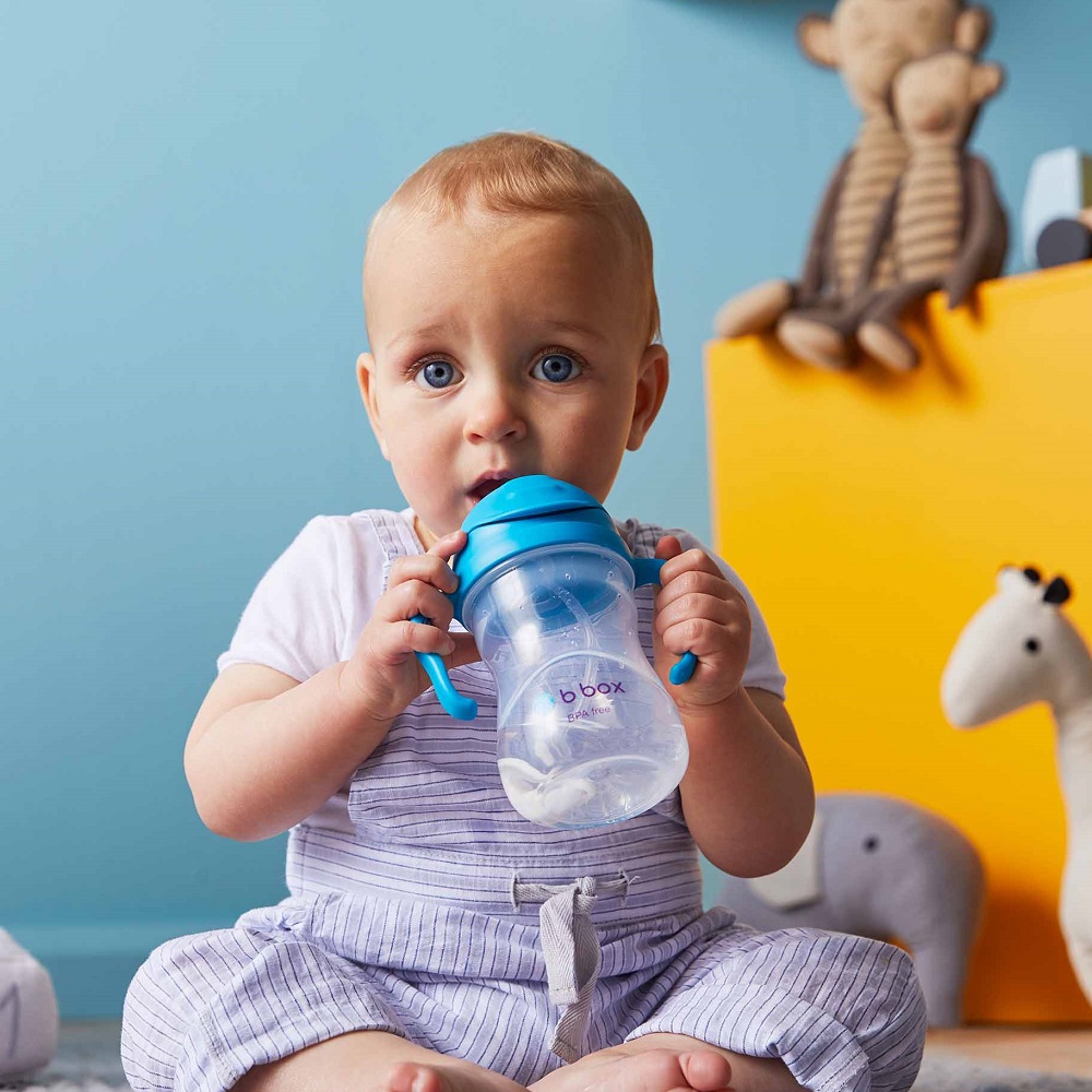 Neizlīstoša pudele bērniem B.box Sippy Cup Blueberry