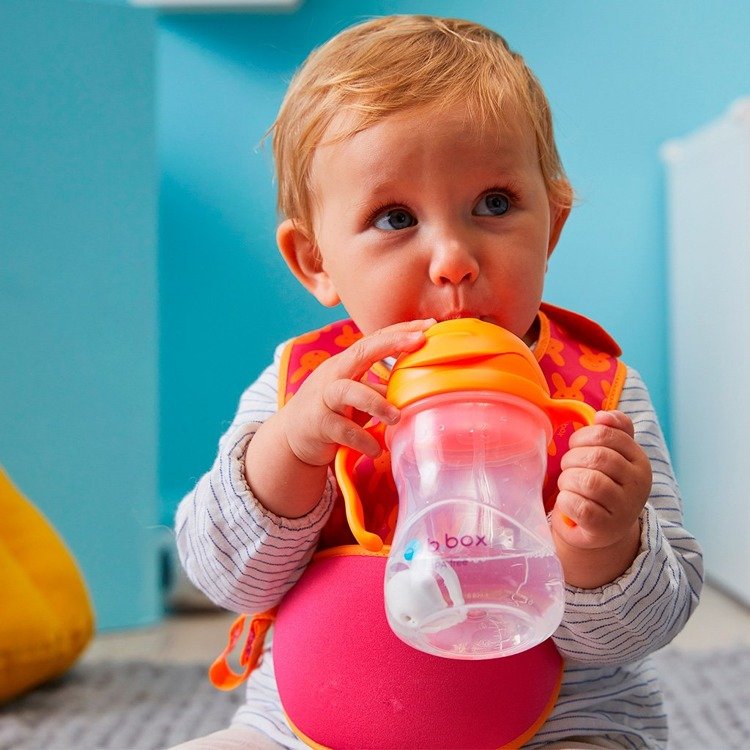 Neizlīstoša pudele bērniem B.box Sippy Cup Orange Zing