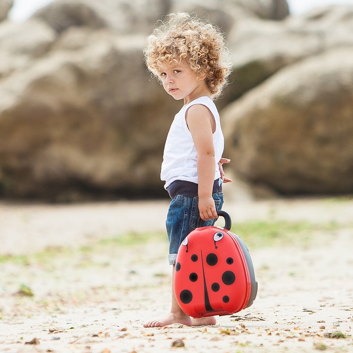 Nešiojami naktipuodžiai My Carry Potty Ladybird