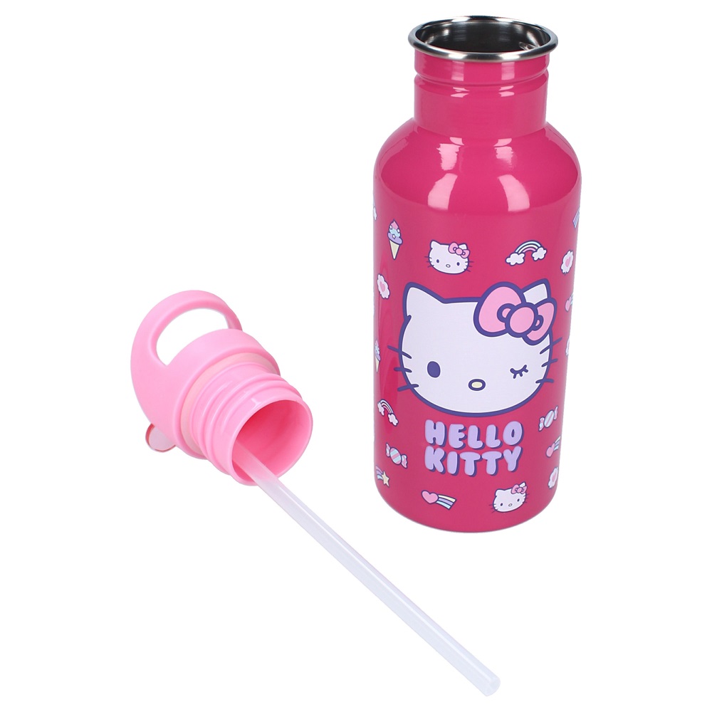 Nerūsējošā tērauda ūdens pudele bērniem Hello Kitty Take A Sip